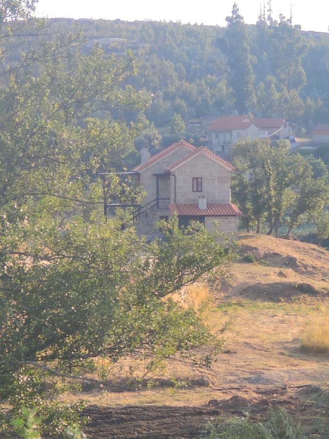 Quinta Da Adarnela Leilighet Lagares da Beira Eksteriør bilde