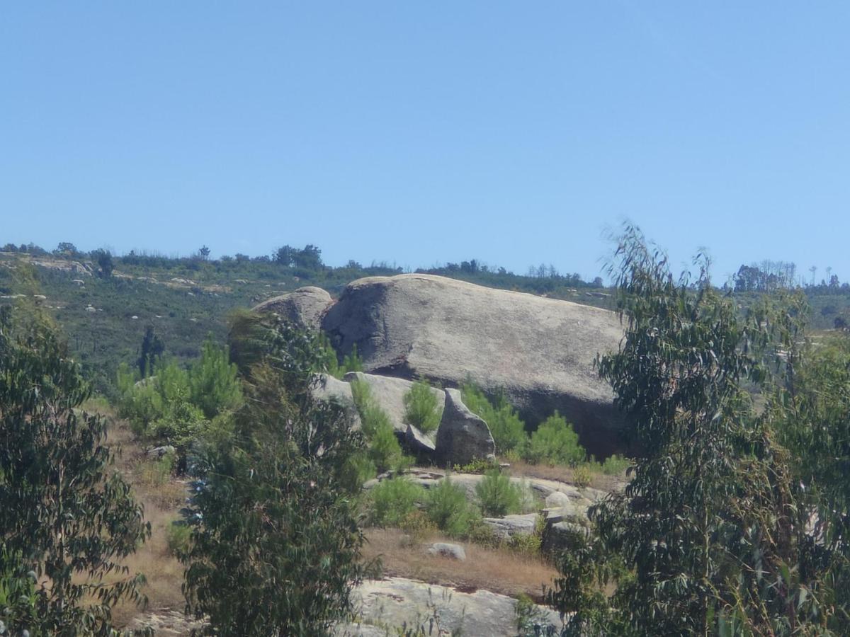Quinta Da Adarnela Leilighet Lagares da Beira Eksteriør bilde