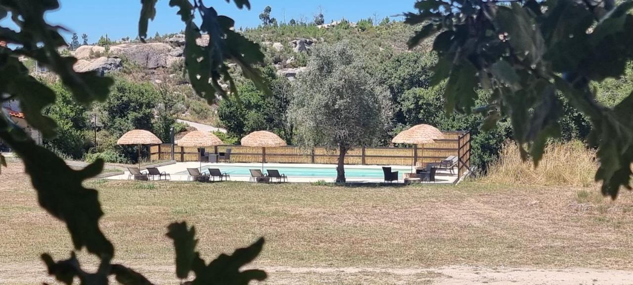 Quinta Da Adarnela Leilighet Lagares da Beira Eksteriør bilde