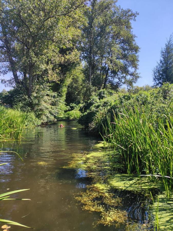 Quinta Da Adarnela Leilighet Lagares da Beira Eksteriør bilde