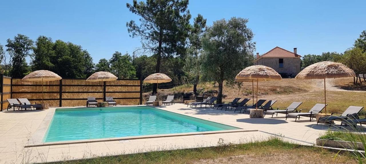 Quinta Da Adarnela Leilighet Lagares da Beira Eksteriør bilde